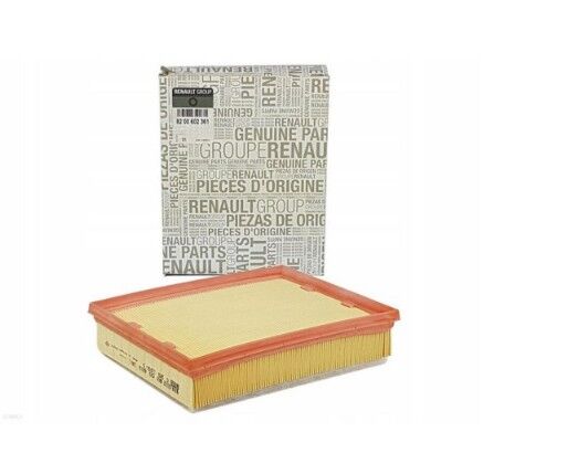 Renault Latitude Hava Filtresi - 8200602361 - Mais