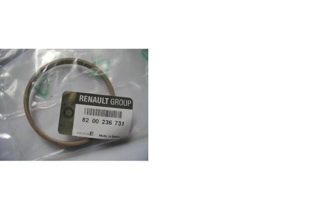Renault Megane 2 - II Enjeksiyon Gaz Kelebek Oringi - 8200236731 - Renault Mais