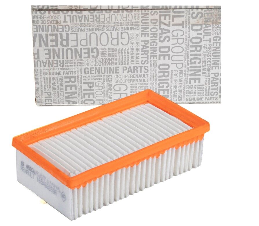 Renault Clio 5 - V (1.0 SCE - H4B / 1.0 TCE H4D) Hava Filtresi - 165466859R