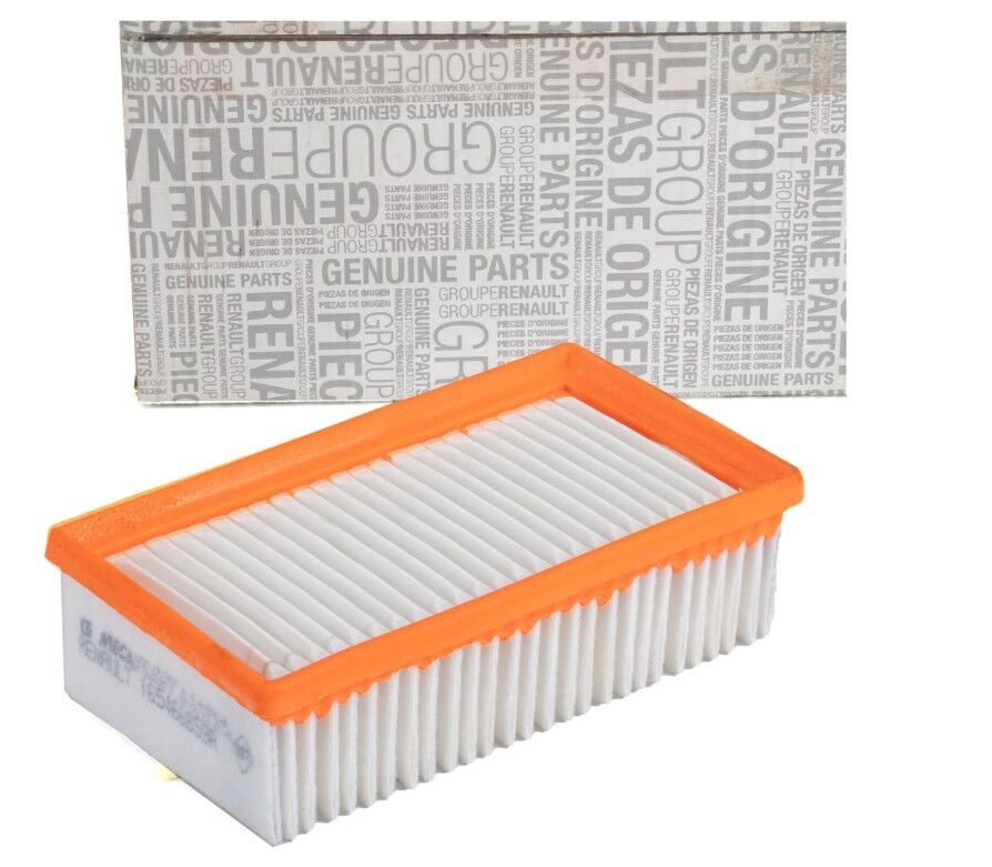 Renault Clio 5 - V (1.0 SCE - H4B / 1.0 TCE H4D) Hava Filtresi - 165466859R