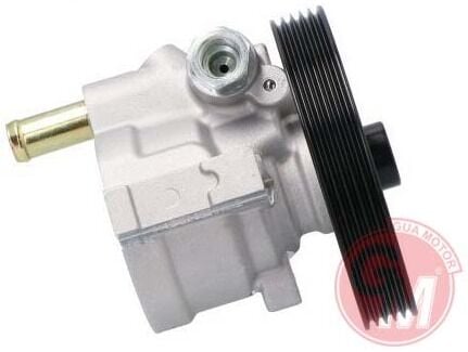 Renault Clio / Kangoo / Megane I - 1 - Direksiyon Pompası 1.5 Dci - 491100246R - 4911000Q1A