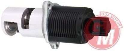 Renault Clio II - 2 / Kangoo / Megane II - 2 / Master II - 2 / Laguna II - 2 - Egr Valfi 1.5 Dci K9K - 8200656008 - 8200004883