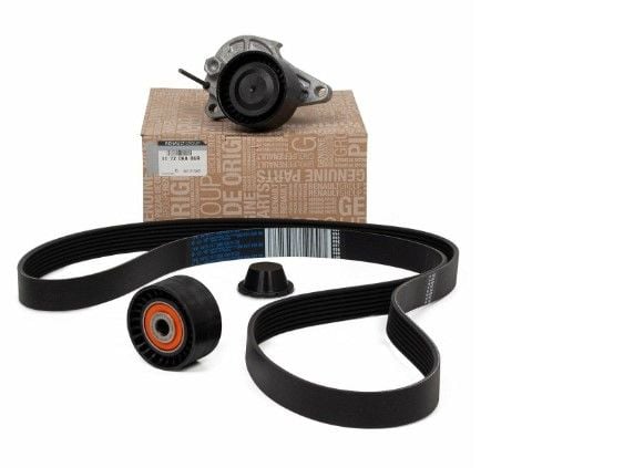 Renault Megane 4 - IV (1.6 DCİ R9M) Alternatör Kayış Seti - 117209886R - Renault Mais
