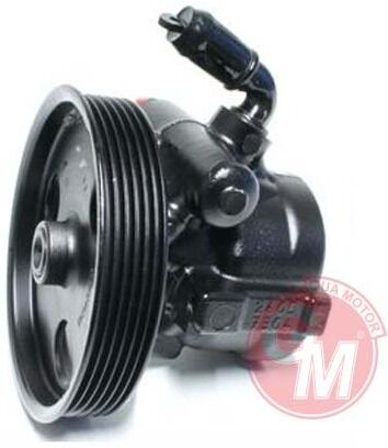 Renault Laguna III - 3 - Direksiyon Pompası - 491100031R - 491100017R