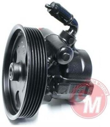 Renault Laguna III - 3 - Direksiyon Pompası - 491100031R - 491100017R