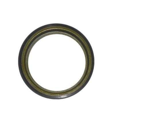 Renault Clio 4 - IV Arka ABS Kampana Halkası - 432000978R  - İthal