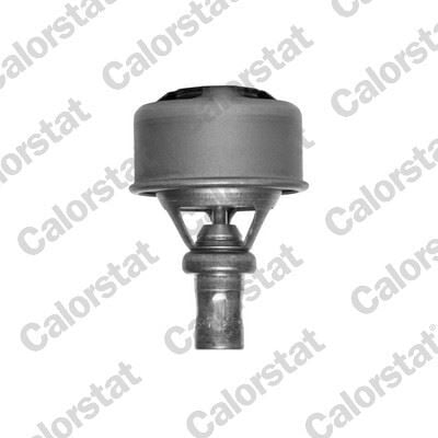 Renault 25 Termostat Komple - 7700727190