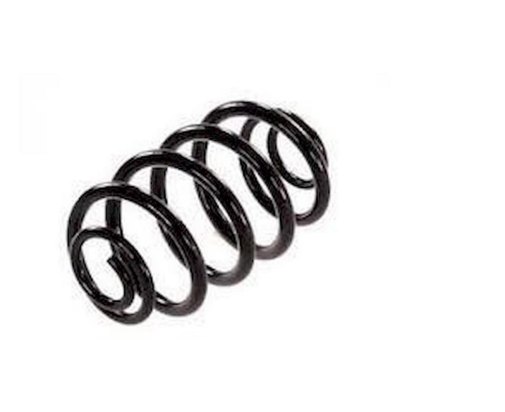 Renault Clio 2 - II - Hatcback Arka Helezon Yayı - 7700417229 - Günsan