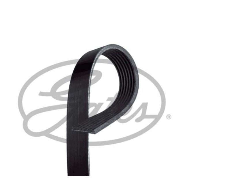 Renault Megane 4 - IV (1.6 SCE H4M) Alternatör V Kayışı 7PK 1051 - 117204148R - 117203168R - Gates