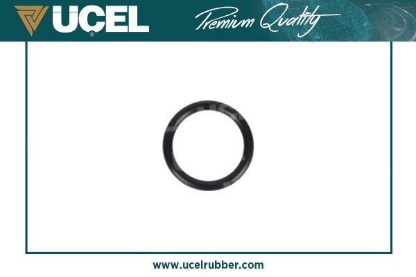 Renault Captur I - Clio II - Clio III - Clio IV - Espace IV - Fluence - Scenic II / Dacia Dokker - Duster - Lodgy Devirdaim Borusu Contası - 6079971245 - 2130600QAB - 7703065210 - 7703065311
