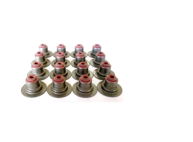 Renault Laguna 2 - II (1.6 16 Valf K4M) Subap Lastiği Şapkalı - 7700103938 - Victor Reinz