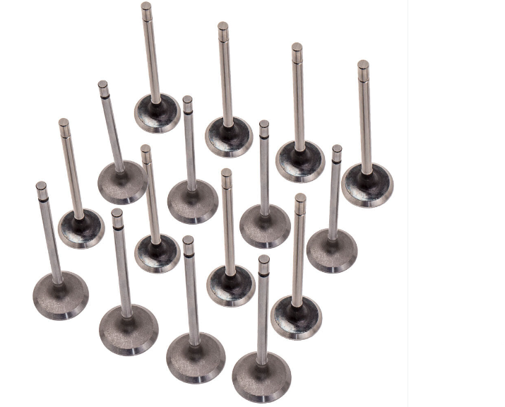 Renault Laguna 2 - II (1.4 / 1.6 16 Valf K4M-K4J) Motor Subap Takımı - 7701471378 - Supsan