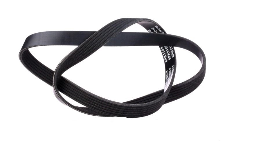 Renault Megane 4 - IV (1.5 Dci K9K Euro 6) Alternatör V Kayışı / 6PK 1165 - 117205156R - Bosch