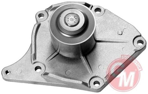 Renault Fluence / Clio II - 2 / Clio III - 3 / Megane II - 2 / Megane III - 3 / Kangoo / Modus / Scenic II - 2 / Dacia Logan II - 2 / Sandero - Devirdaim Su Pompası 1.5 Dci - 7701478031 - 210108574R