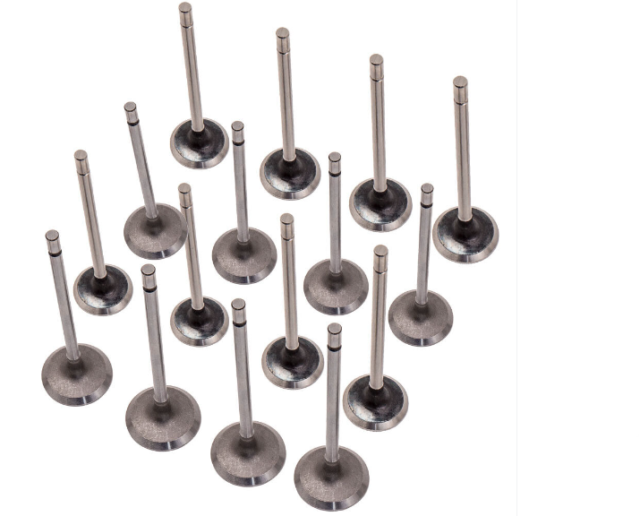 Renault Laguna 1 - I (1.4 / 1.6 16 Valf K4M-K4J) Motor Subap Takımı - 7701471378 - Supsan