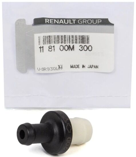 Renault Clio 4-IV Yağ Rekoru Sibobu - 118100M300