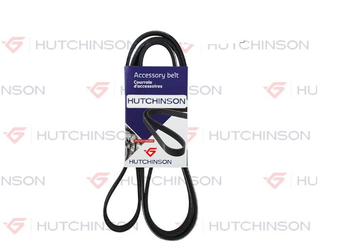 Renault Espace 3 - III (6PK 1600) Alternatör V Kayışı - 8200078576